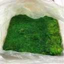 Preserved Sheet Moss Natural Green Decorative Real Natural Green DIY Kit Gardenning Art Wall Decor Florist Decor Easter Table Decor Wedding 2 sq.ft.Green-B