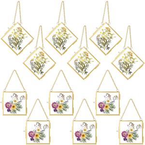 12 Pcs Christmas Hanging Clear Photo Frame Double Glass for Pressed Flower Floating Frame with Chain Display Gallery Artwork Horizontal Vertical Gold Metal Rectangle Wall Decor(3 x 3 Inch)
