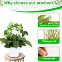 5pcs Round Acrylic Trellis for Climbing Plants, Small Plant Trellis House Plant Accessoriess for Indoor Outdoor Pothos Vine Ivy Monstera Hoya Flowers