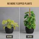 Craft911 Moss Pole Monstera Plant Support 2 Pack 28 Bendable Moss Pole Monstera Plant Support, Plant Stakes for Indoor Plants, Tall Plant Sticks Support for Climbing Plants