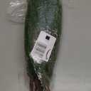 10 Pcs Christmas Norfolk Pine Stems Artificial Pine Branches, 16 Real Touch Fake Christmas Greenery Stems, Faux Cedar Branches Picks for Vase DIY Crafts Garland Wreath Xmas Indoor Outdoor Home Decor