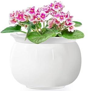 LITUDISO African Violet Pots, 8 Inch Self Watering Pots, Easy Plant Self Watering Pot, Ceramic Plant Pot with Absorbent Inner Pot for Flowers, Flower Pot Indoor - White
