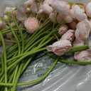Alupssuc 30Pcs Ranunculus Artificial Flowers Faux Silk Mini Ranunculus, Spring Flowers Artificial Indoor for DIY Bouquets, Bulk Fake Wedding Filler Flowers for Bride Shower Decorations, Shabby Blush
