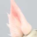 Faylay Furry Handmade Rabbit/Wolf/Fox Ear Headband Cosplay Hair Simulated fluffy Fox Ear Headband Accessorie for Man/Women (Pink)