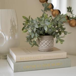 Beautiful Decorative Books - Set of 2 Linen Boxes Enhance Your Coffee Table, Bookshelf or Mantel Decor - Aesthetic Fake/Faux Books for Modern Home Decoration, Photo Storage and as a Keepsake Box