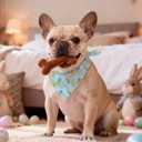 Funny Easter Dog Bandana, Bunny and Chick Donut Print Pet Scarf, Carrots and Easter Eggs Pattern Holiday Pet Bandana for Small Medium Dogs