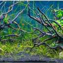 AWERT 48x18 inches Tropical Fish Tank Background River Bed & Lake Aquatic Plant Undersea Tree Branch Aquarium Background Vinyl