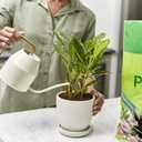 Miracle-Gro Sphagnum Peat Moss - Enriched with Plant Food, Add to Potting Mix and Native Soil, 8 qt. (2-Pack)