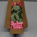 Artificial Geranium Fake Flowers for Outdoors Decoration, 6 Bundles Silk Geraniums Flower UV Resistant Look Real Faux Plants for Front Door Garden Porch Planter Patio Balcony Yard Indoor Home, Mix
