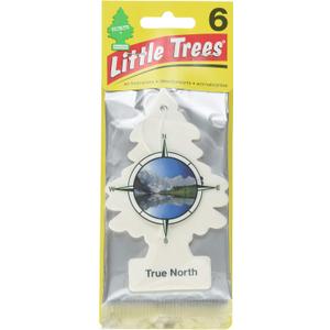 Little Trees Car Air Freshener 6-Pack (True North)
