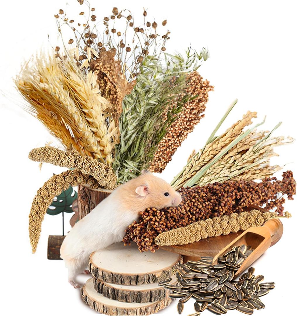 Natural Ear of Grain Flower&Herb Bedding Mate Habitat Decor, Adding Fun Hamster Accessories for Hamsters Gerbils Lemming (Harvest Wind)