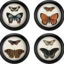 Beeveer 4 Pcs 7 Inch Vintage Round Wood Framed Butterfly Wall Art Insect Illustration Prints Picture Butterfly Art Wooden Wall Hanging Picture Frames for Living Room Bedroom Home Decor