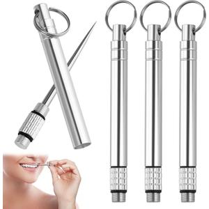 4pcs Portable Mini Titanium Toothpicks Holder,Stainless Steel Travel Toothpick,Reusable Pocket Metal Toothpick With Stainless Steel Toothpick Holder For Daily Use,Travel