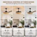 48 Inch Boho Ceiling Fan with Retractable Invisible Blades