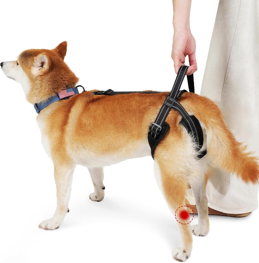 ROZKITCH Pet Dog Support Harness Rear Lifting Harness for Back Legs Reflective Dog Sling Vet Approved for Old Helps with Poor Stability Hind Legs, Joint Injuries Elderly Arthritis ACL Rehab Black M (M(Leg Girth: 17.3-22"))