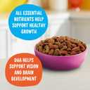 Meow Mix Kitten Lil Nibbles Dry Cat Food for Kittens, 3.15 Pound Bag (Case of 4)