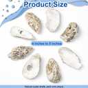 15PCS Natural Oyster Shells 4-5 in Uncarved Oyster Shells for Crafts, Hard Texture for DIY Arts Ornaments, Candle Holders, Coastal Decor & Art Projects