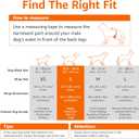 Amazon Basics Absorbent, Leakproof Male Dog Wrap Disposable Diapers, Small, Pack of 50, White