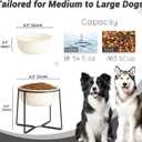 Ceramic Elevated Dog Food Bowl - Heavyweight Feeding Bowl with Metal Stand - Raised Pet Dish for Medium and Larges Dogs - 3.5 Cups - 54 oz - Beige