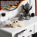 2 Pcs Halloween Human Skull 4.7 Inch Model Adult Plastic Fake Skull Head Decorations Realistic Head Bone Model Human Skeleton for Bar and Table Halloween Decor Spooky Yard