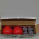 TERRO Fruit Fly Traps for Indoors (4 Pack) + 180 Days of Lure Supply - T2503SR - Lure and Kill Indoor Fruit Flies Near Fruit, Trash Cans, Countertops - Ready to Use Trap - 180 Day Supply