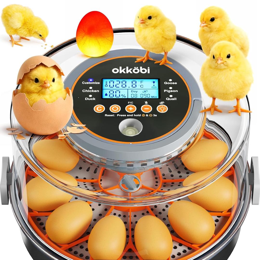 12 Egg Incubator with Automatic Egg Turning and Humidity Control  Temperature Adjustment  incubators for Hatching Eggs  Built-in Egg Candler  Incubadora de Huevos de Gallina  Easy to Use