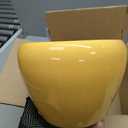 Deep Dream 8 Inch Plant Pots- Ceramic Pots for Plants with Drainage Hole and Saucer, Large Planter Pot for Indoor Plants Outdoor Decor, Yellow