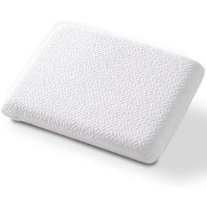 bigpawl Ultra Thin, Flat Pillow for Sleeping 2.75 Inch Height, Thin Memory Foam Pillow for Stomach Sleeper, Slim Bed Pillow for Side and Back Sleepers, Standard Size, 24 x 15