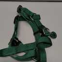 PUPTECK No Pull Dog Harness Soft Adjustable Basic Nylon Step in Puppy Vest Outdoor Walking with ID Tag, Blackish Green, M