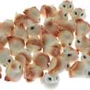 XGNG 50pcs Owl Mini Ornament Microlandscape Creative Cartoon Landscaping Resin Statue Fairy Garden Plants Decoration and Car Accessories
