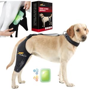 Dog Knee Brace for Torn ACL Hind Leg, Hot/Cold Compress for Patella Dislocation or Osteoarthritis, Cruciate Ligament Injuries, for Medium & Large Dogs (Right Leg, L)