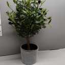 25" Tall Artificial Olive Topiary Ball Tree with Leaves and Fruits, Olive Boxwood Topiary Ball Potted Bushes UV Resistant Potted Plants for Indoor Outdoor Home Garden (Green-1pcs)