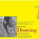 Strathmore 300 Series Drawing Paper Pad, Glue Bound, 14x17 inches, 50 Sheets (70lb/114g) - Artist Paper for Adults and Students - Charcoal, Colored Pencil, Ink, Pastel, Marker