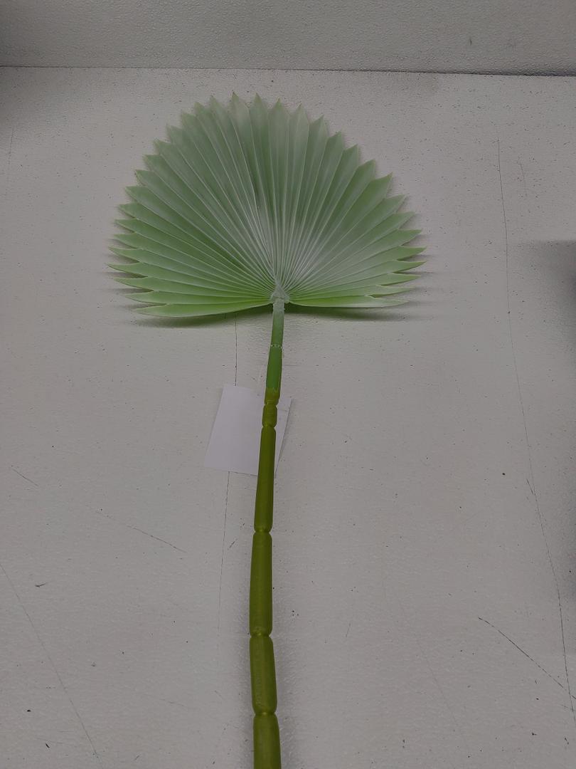 Spring Summer Declaration, 1 Pack