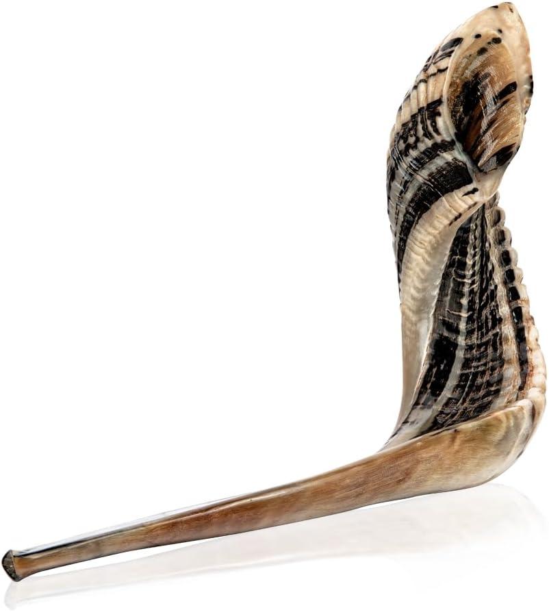 Holy Voice Kosher Ram Shofar Horn from Israel 18"-20" Traditional Half Polished, Holy Land Ancient Jewish Musical Instrument, Smooth Mouthpiece for Easy Blowing, Clear Sound Shofar