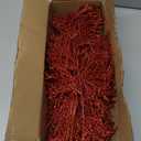 Winlyn 15 Pcs Red Glittered Cedar Sprays Christmas Floral Picks Artificial Cedar Branches Stems Red Christmas Tree Picks 15.4" Tall for Wedding Bouquet Wreath Floral Arrangement Seasonal Centerpiece