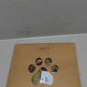 KOOLTAIL Dog Socks Shoes for Hot Pavement to Prevent Licking Paws, Winter Dog Boots&Paw Protector for Hardwood Floors Anti Slip,Traction Control Grip Booties for Small Medium Large Senior Dog,Green SM