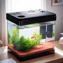 Betta Fish Tank,5 Gallon Glass Aquarium Starter Kit, Small Fish Tank with Filter and Light.