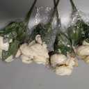 Artificial Peonies Silk Flowers, Beige Faux Peony Bouquet 4 Bundles Florals Arrangements Decor for Farmhouse Home Boho Wedding Table Centerpiece, Fake Plastic Flowers Bulk for Vase Decoration (Beige)