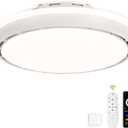 Bodkar 20 Inch Bladeless Ceiling Fan with Light | Low Profile Flush Mount Ceiling Fan with APP & Remote Control, Dimmable LED Fan Light for Bedroom (white)