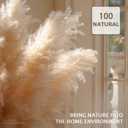 55inch 10pcs Dried Pampas Grass Decor Tall-Tall Pampas Grass for Floor Vase,Brown Large Pompas Grass Floral-Long Fluffy Pompas Grass for Living Room,Corner,Farmhouse,Wedding and Boho Home Decor