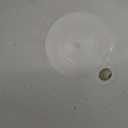 4 Pack 8 inch Hanging Planter Pots,Self-Watering Round Hanging Basket with Water Tray Metal Chain,Succulent Flower Plant Pot Container for Indoor Outdoor Garden Balcony Wall Decor,White (8 inches diameter x 4.9 inches height)