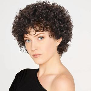 HUA Short Curly Human Hair Wigs for Black Women - Dark Brown #2 Color Short Pixie Cut Wigs with Bangs - Glueless, Wear and Go