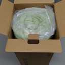 BEDELITE Fleece Blankets Queen Size Grass Green Throw Blankets for Bed, Luxury Plush Cozy Fuzzy Blanket 90x90 inches, Super Soft Warm Lightweight Throw Blanket All Seasons Suitable