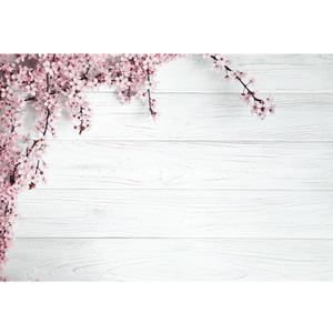 7x5ft Valentine's Day Backdrop Countryside Rustic White Wood Plank with Wood Texture Spring Pink Blossom Peach Apricot Cherry Background Children Baby Adults Portraits Backdrop