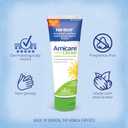 Boiron Arnicare Cream for Joint Pain, Muscle Pain, Swelling, Soreness, Stiffness, and Bruises - Fast Absorbing and Fragrance-Free - 4.2 oz