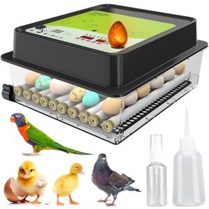 OBI-36 Incubator for Hatching Eggs  36 Eggs, Easy to Use, Stable Temperature & Humidity Control with Eggloo Insulation - Green