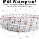 DAYBETTER Waterproof LED Light Strips 66ft, Outdoor LED Strip Lights Color Changing 5050 RGB LED Strip Lights with Remote Control, LED Lights for Indoor Outdoor Use, IP65 (2 Rolls of 33ft)