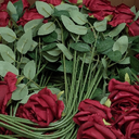 Hotop 120 Pcs Roses Artificial Flowers in Bulk,Long Stem Artificial Flower Bouquet,Silk Real Touch Fake Rose for Wedding Party Table Centerpieces Decor Valentines Gifts(Wine Red)