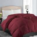EASELAND Queen Size Down Alternative Comforter - Quilted Duvet Insert for All Seasons, Soft Lightweight with Corner Tabs, Summer Winter Warm Bedding, Burgundy 88×88 Inches